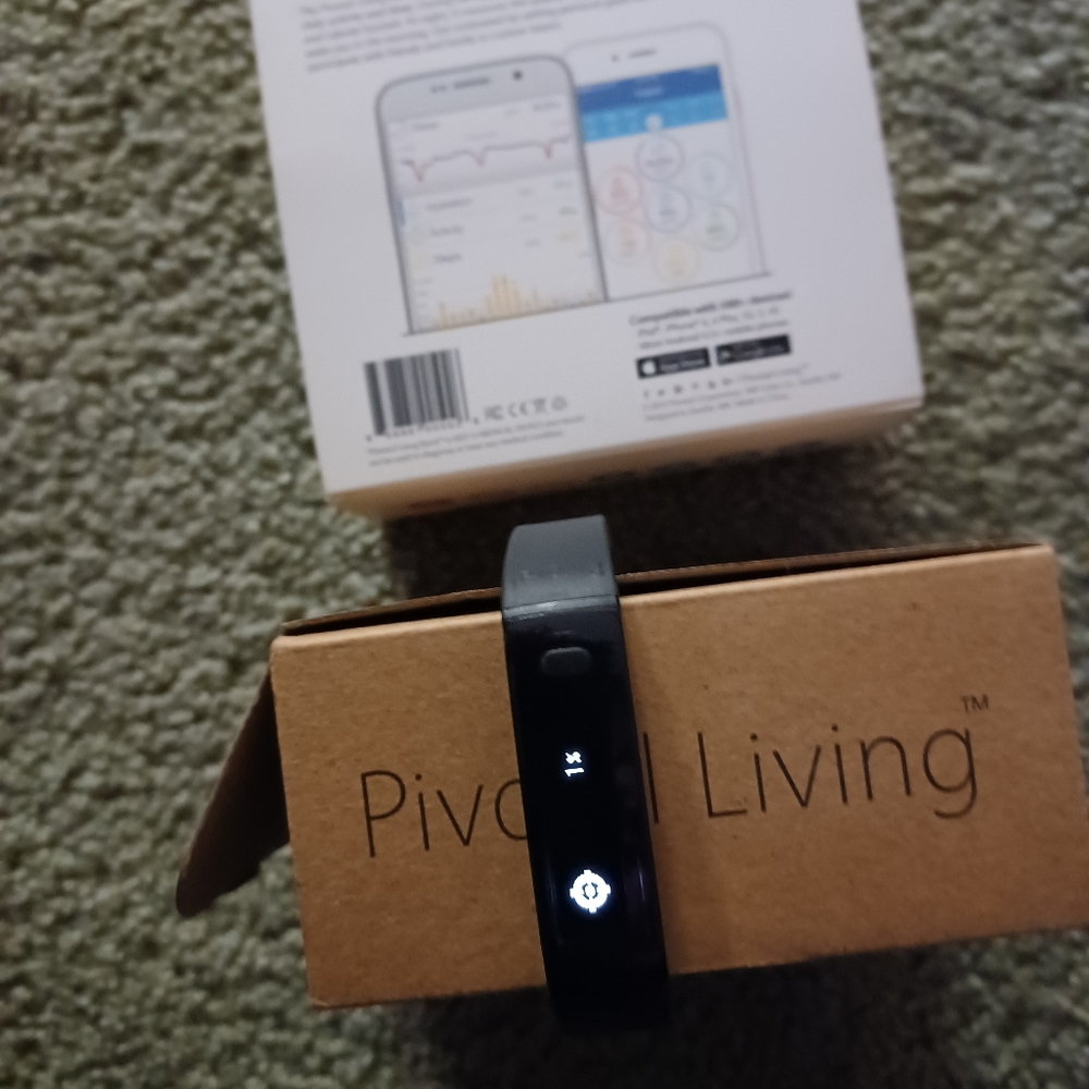 PIVOTAL LIVING BAND - Picture 6 of 11